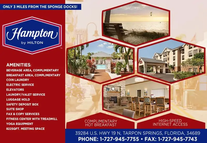 Hampton inn & suites Tarpon Springs